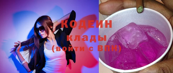 spice Инта