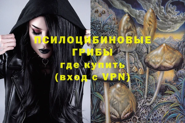 прущий лед Вязники