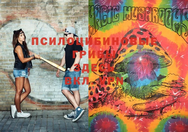 амф Вяземский