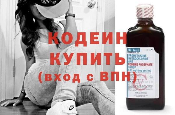 МДПВ Инсар