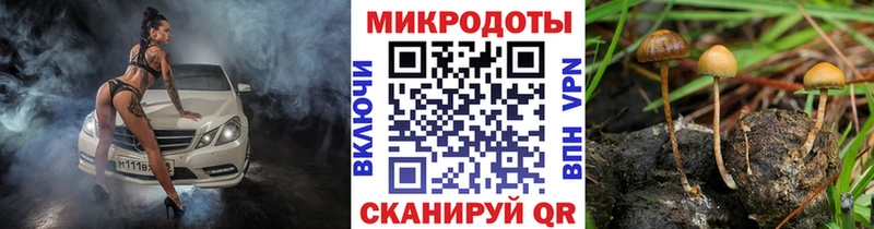 мега сайт  Лукоянов  Псилоцибиновые грибы GOLDEN TEACHER  где можно купить наркотик 